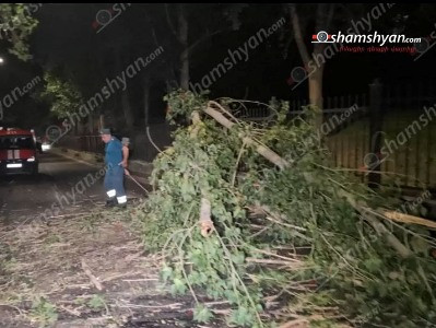 Երևանում «Մոնտե Քրիստո» ռեստորանի մոտ հսկայական բարդին տապալվել և ամբողջությամբ փակել է ճանապարհը