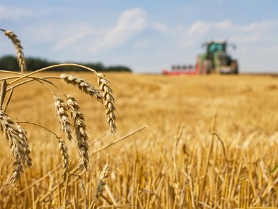 EU and Ukraine reach initial agreement on agricultural exports to the bloc