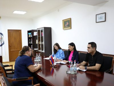 Սեռական բռնության դեմ պայքարի ոլորտը ՄԻՊ–ի աշխատանքի առաջնահերթություններից է. Անահիտ Մանասյան
