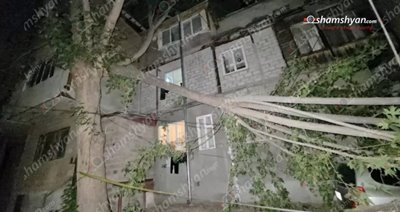 Երևանում հսկայական ծառի ճյուղը կոտրվել, ընկել է ավտոմեքենաների վրա