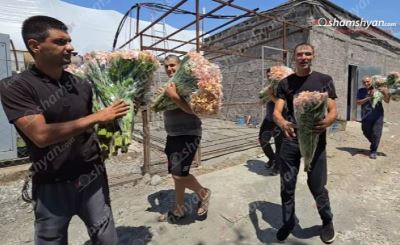 «Թե բա մենք ռուսի հետույքը համապատասխան ձևով չենք լպստել, դրա համար պատժում են». գյուղատնտեսը՝ ծաղկի արտահանման խնդրով