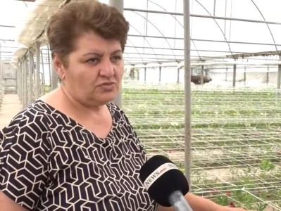 Էս տարի շատ դժգոհ ենք. մի միլիոնի տուժել ենք. ծաղկեգործները կտրուկ քայլերի կդիմեն