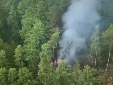 Одна из пассажирок разбившегося Ан-24, не севшая в самолет- Марине Авалян