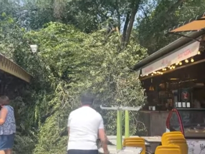 Tree breaks, falls on stands at Yerevan’s Vernissage