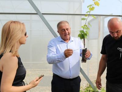 Հայաստանը և Վրաստանն ընդլայնելու են համագործակցությունը խաղողի մշակման ոլորտում. ՄԱԿ