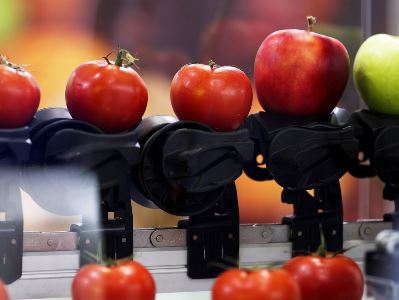 ИБПП призвала хозсубъекты Армении соблюдать требования законодательства ЕАЭС и РФ