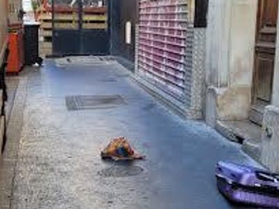 Paris prosecutor's office: Pigs' heads thrown near mosques by foreigners who fled France
