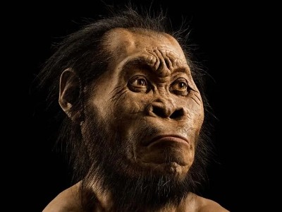 Փոքր ուղեղով Homo naledi հոմինիդները, թաղել են իրենց մահացածներին դեռևս 120,000 տարի առաջ