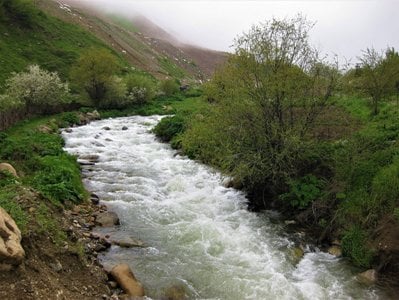 Փրկարարները քաղաքացուն դուրս են բերել գետից. նա հոսպիտալացվել է