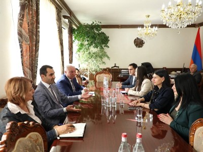 Սեռով պայմանավորված հղիության արհեստական ընդհատումները շարունակում են մնալ լուրջ և մտահոգիչ խնդիր. ՄԻՊ