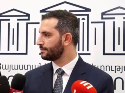 Рубинян - оппозиционерам: Нужно отличать борьбу против власти от борьбы против государства