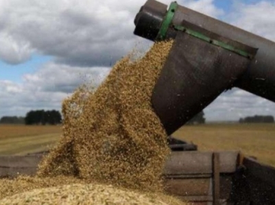 Armenia Food Safety Inspectorate head: Kazakhstan wheat imported via Azerbaijan is suitable for food use