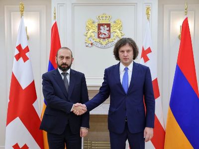 Глава МИД Армении рассказал премьеру Грузии об армяно-азербайджанских процессах