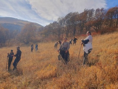 Viva-ն և «Իմ անտառ Հայաստան»-ը 1,5 հա տարածքի վրա նոր անտառ են ստեղծում
