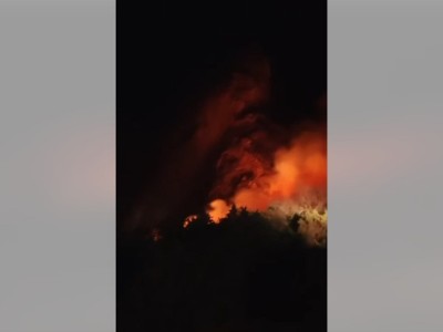 Пожар в Иджеванском лесном хозяйстве потушен
