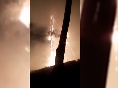 В Лорийской области Армении горят леса вокруг молоканского села Фиолетово
