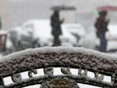 Суренян: Ровно 23 года назад были зафиксированы самые сильные заморозки в истории