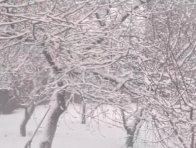 В Гюмри бушует метель: Гагик Суренян опубликовал видео