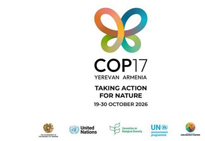 Организация мероприятий на международных площадках в преддверии COP17: МИД Армении подводит итоги года