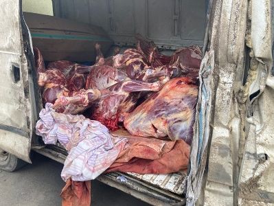 В Армении обнаружена предназначавшаяся на продажу конина неизвестного происхождения

 