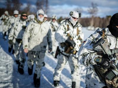 Германия может направить в Гренландию военные корабли и самолеты