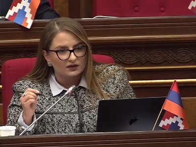 Глава МИД Армении депутату: Как я понимаю, Вы не читали документ TRIPP. Ну, он длинный