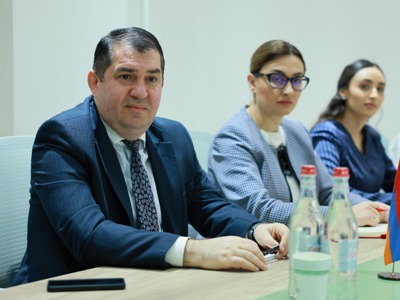 ՇՄ փոխնախարարը Շվեդիայի պատվիրակությանը ներկայացրել է COP17-ի ուղղությամբ իրականացվող աշխատանքները