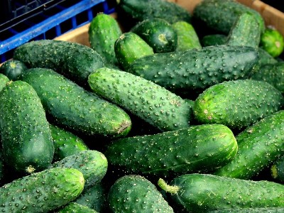 Forbes: цена огурцов в России сравнялась с ценой мяса