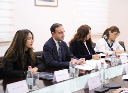 ԱՆ փոխնախարարը և ԺՀՄԻԳ առաքելությունը քննարկել են նախընտրական շրջանի թափանցիկության ուղղությամբ ձեռնարկվող քայլերը