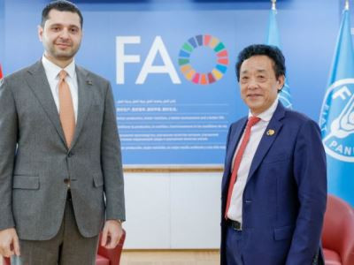 Министр окружающей среды Армении и гендиректор FAO обсудили повестку сотрудничества