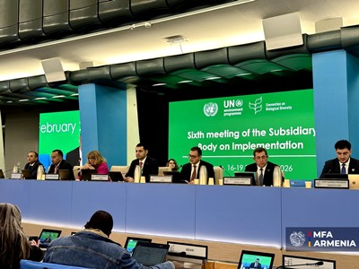 Замглавы МИД: Армения рада принять COP17