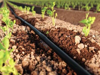 Armenia to receive €100M loan for water, irrigation infrastructure development