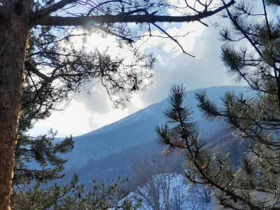 Потепление в феврале — это ещё не весна, сельхоз работы пока рано начинать — эксперт
