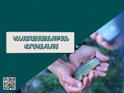 Առաջիկայում նախատեսում ենք ընդլայնել բնական էկոհամակարգերի և կենսաբազմազանության վերականգնման ծրագրերը. ՇՄ նախարար