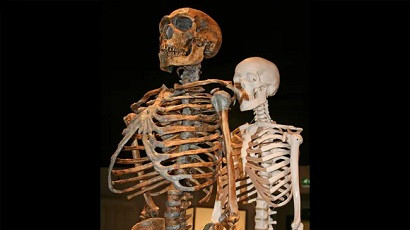 Հին կապեր. ինչպես են նեանդերթալցիների եւ Homo sapiens-ի գենետիկ կապերը պահպանվել ԴՆԹ-ում