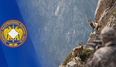 Дело о браконьерской охоте на безоарового козла передано в суд