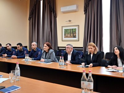 В Армении обсудили вопросы приграничного управления