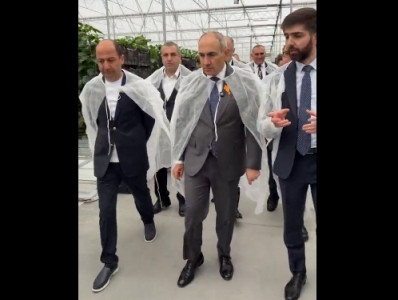 Премьер-министр Армении посетил теплицу по выращиванию перца: Куст перца бывает 7-метровым?
