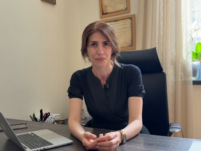 Адвокат: Это вендетта в отношении Давида Минасяна
