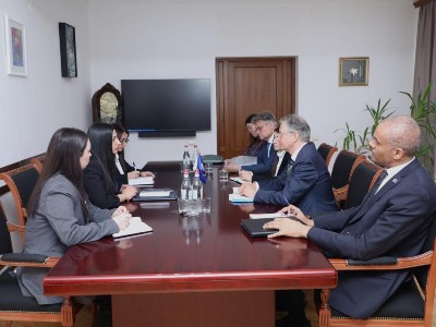 Մանասյանը մտահոգություն է հայտնել խտրական և ատելության խոսքի տարածման առնչությամբ․ ՄԻՊ-ն ընդունել է ԵԽ պատվիրակությանը