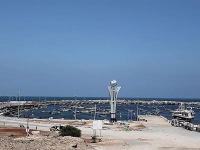 «Совет мира» Трампа обсуждал с DP World управление логистикой и портами в Газе: Financial Times