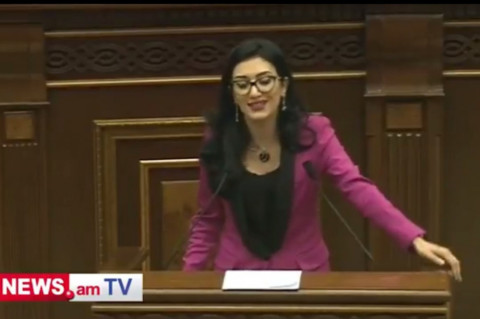 ՀՀ քաղաքացին արձանագրեց, թե խաղադաշտի որ մասում գրանցվեց գոլ. Արփինե Հովհաննիսյան