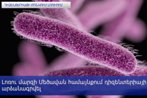 Դիզենտերիայի բռնկում Լոռիում. վարակի աղբյուրը ջուրն է