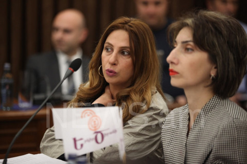 Փուչիկ հայտարարություններ մի արեք. Արա Երնջակյանը՝ «Երկիր Ծիրանիի» անդամներին