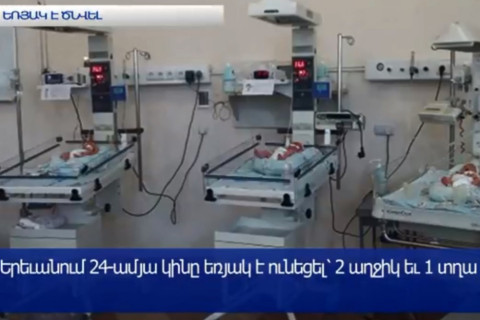 Երեւանում եռյակ է ծնվել