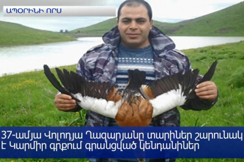 Ապօրինի որսի հերթական դեպքը. «անխիղճ որսորդը» ոստիկանության նախկին աշխատակից է