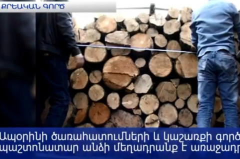 Պաշտոնյաներն «աչք են փակել» ապօրինի ծառահատումների վրա. պետությանը պատճառվել է 1.5 մլրդ դրամի վնաս
