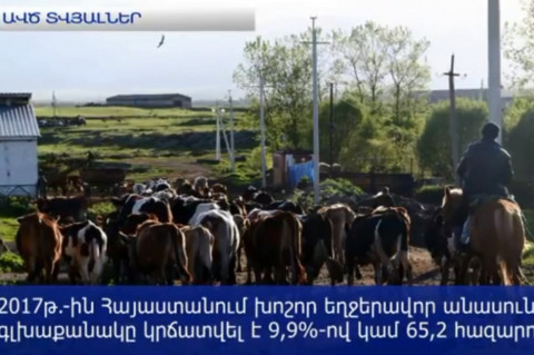 «Փլուզում» անասնաբուծության ոլորտում. խոշոր եղջերավոր անասունների գլխաքանակը կրճատվել է