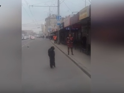 Ռուսաստանում կապիկը դուրս է եկել «զբոսանքի»