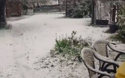 Ֆրանսիայում ձյուն է տեղացել